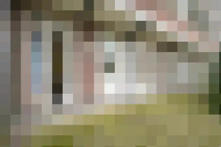 Soestdijksekade 1052 Den Haag thumbnail 11