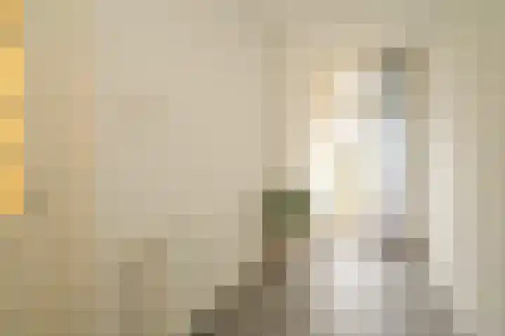 Soestdijksekade 1052 Den Haag thumbnail 17