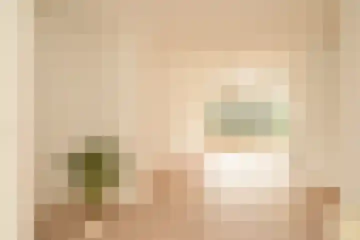 Soestdijksekade 1052 Den Haag thumbnail 6