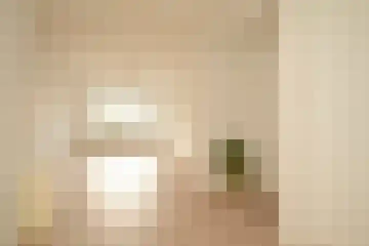 Soestdijksekade 1052 Den Haag thumbnail 8