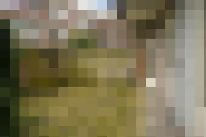 Soestdijksekade 1052 Den Haag thumbnail 9
