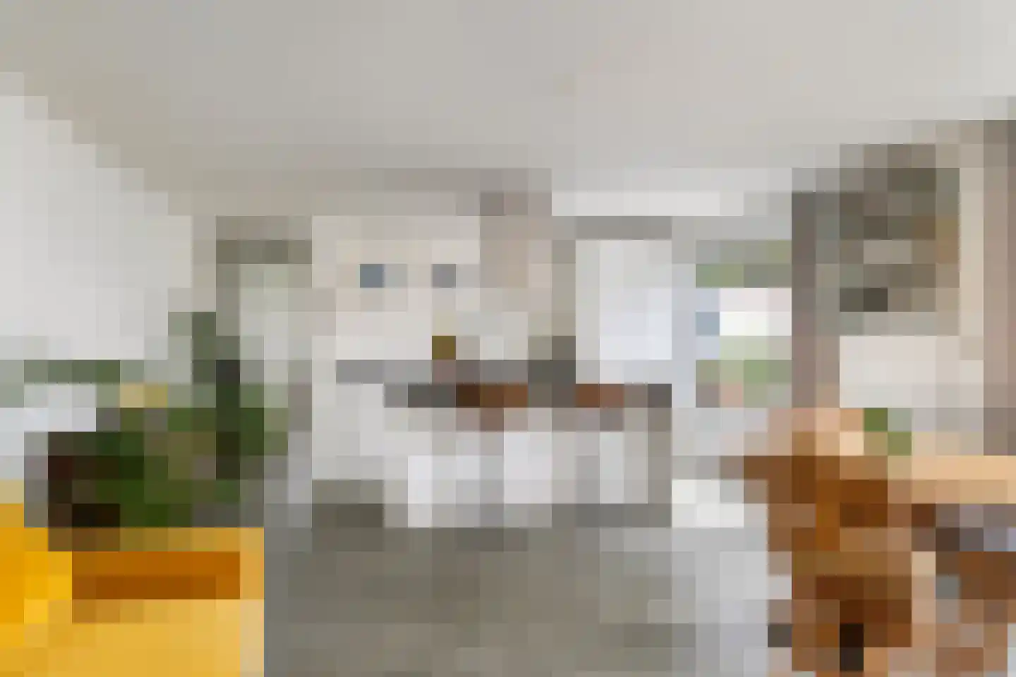 Soestdijksekade 1120 Den Haag thumbnail 11
