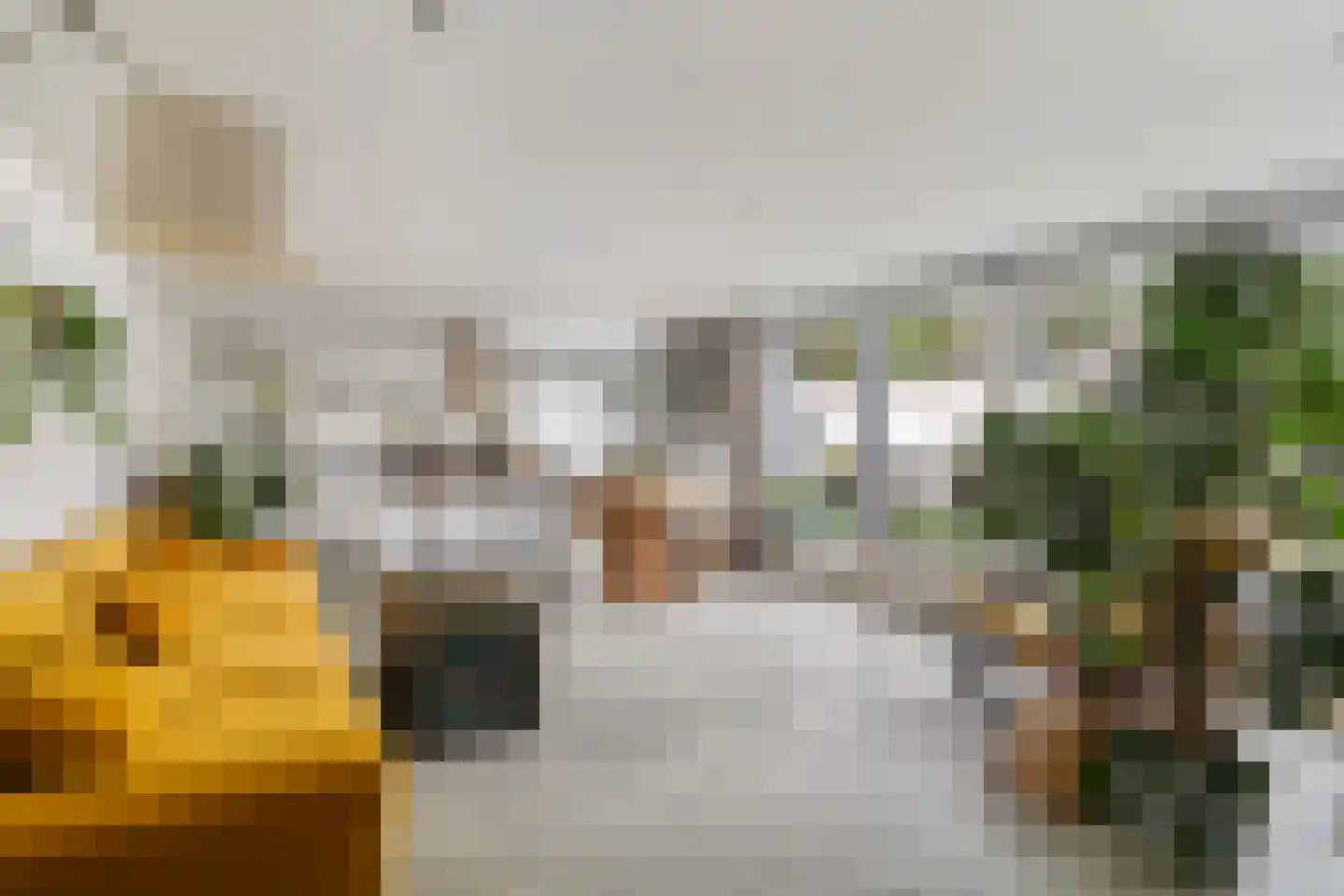 Soestdijksekade 1120 Den Haag thumbnail 13