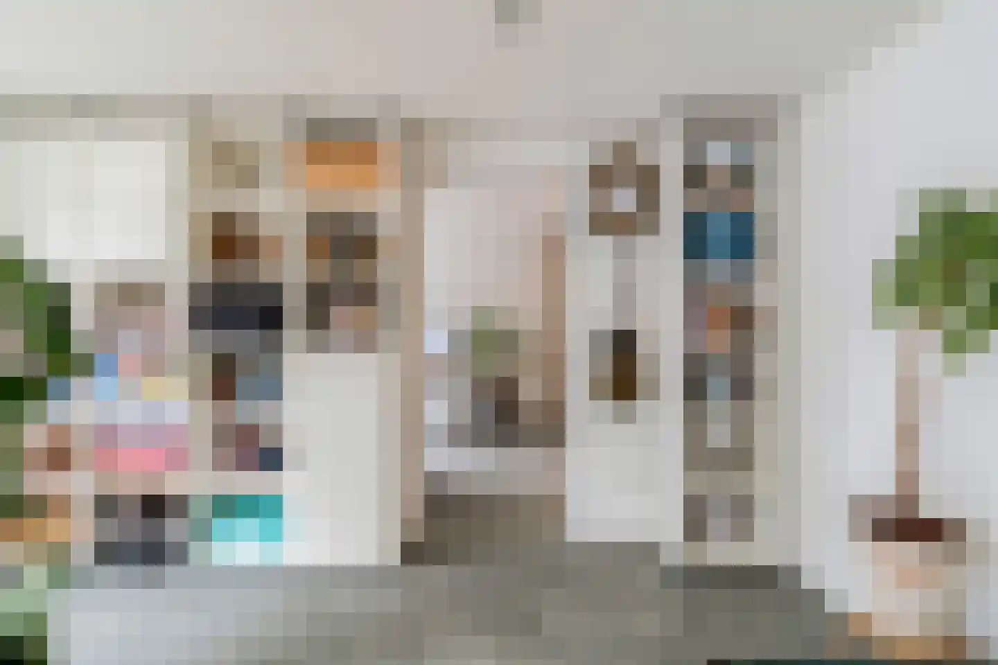 Soestdijksekade 1120 Den Haag thumbnail 15