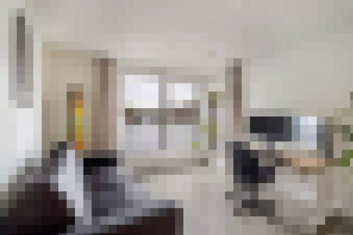 Soestdijksekade 1120 Den Haag thumbnail 17