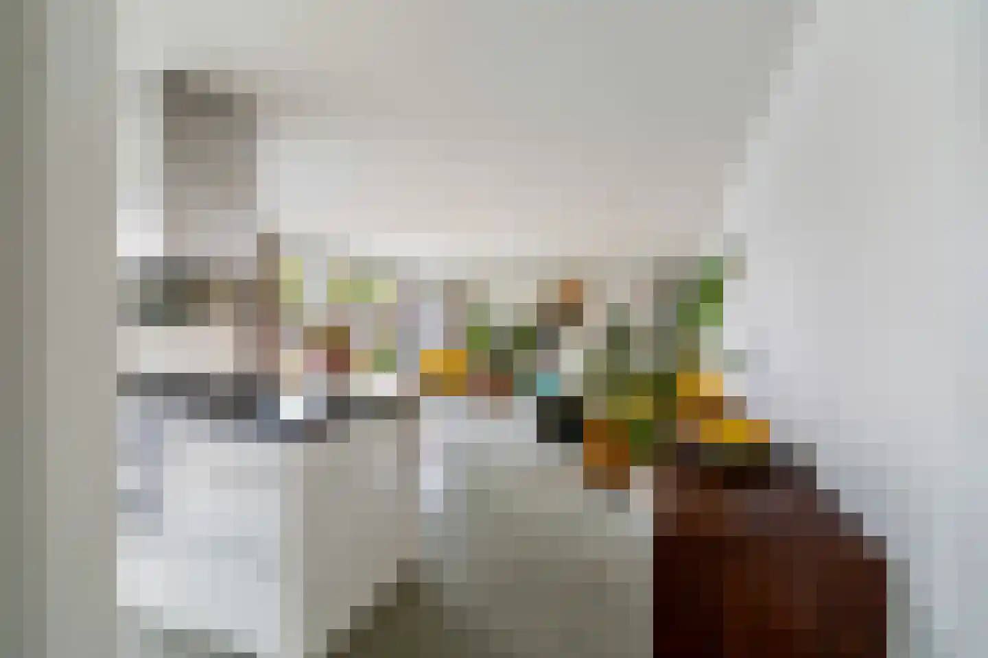 Soestdijksekade 1120 Den Haag thumbnail 6