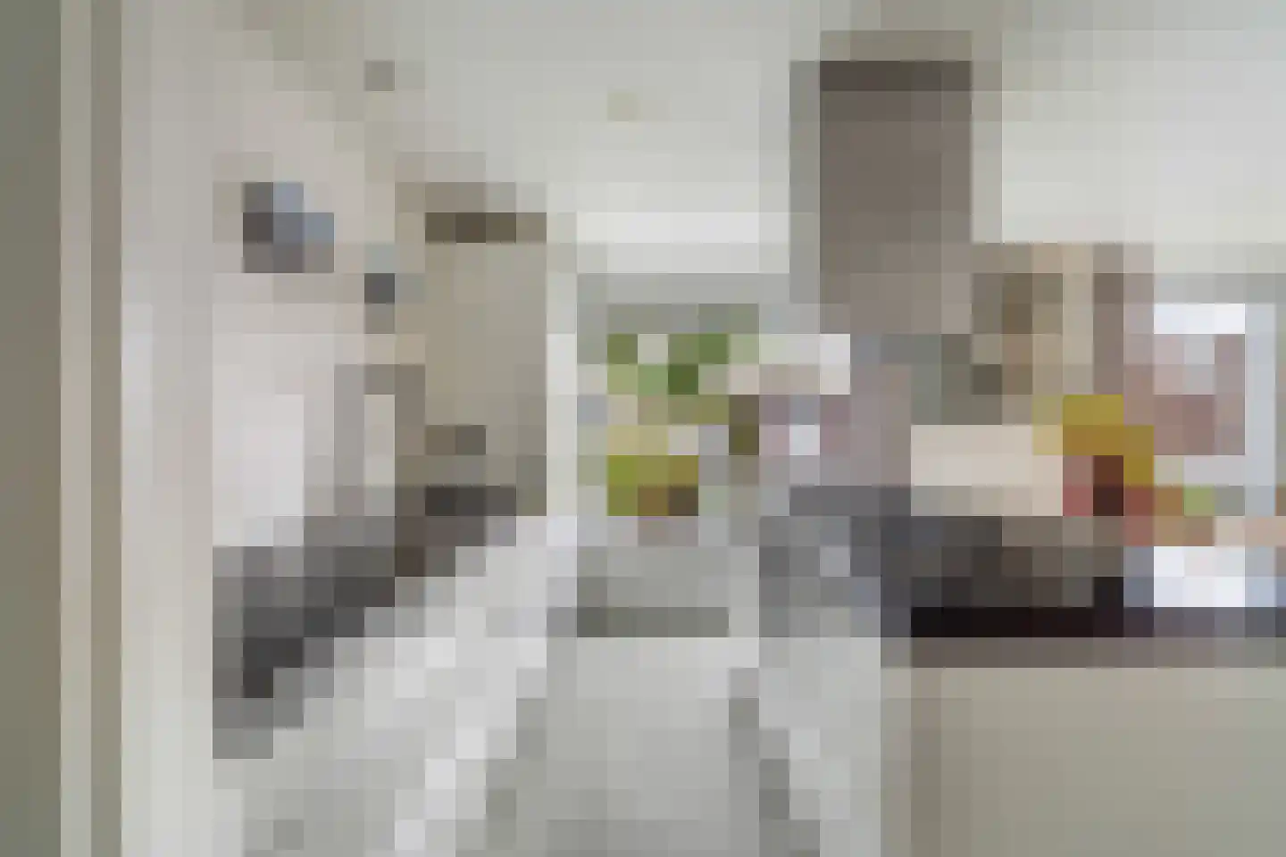 Soestdijksekade 1120 Den Haag thumbnail 7