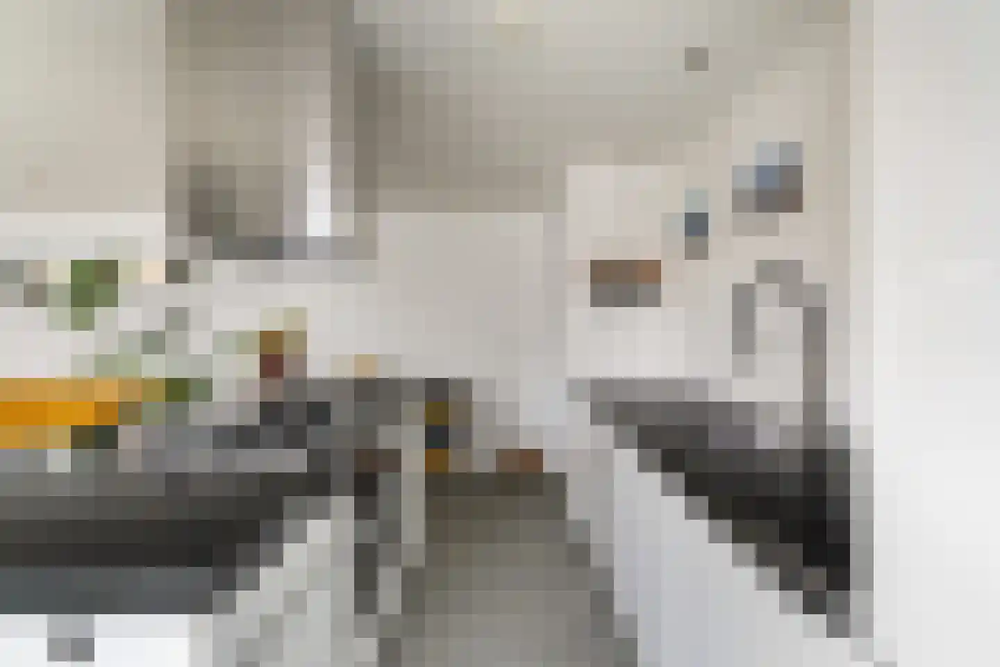 Soestdijksekade 1120 Den Haag thumbnail 8
