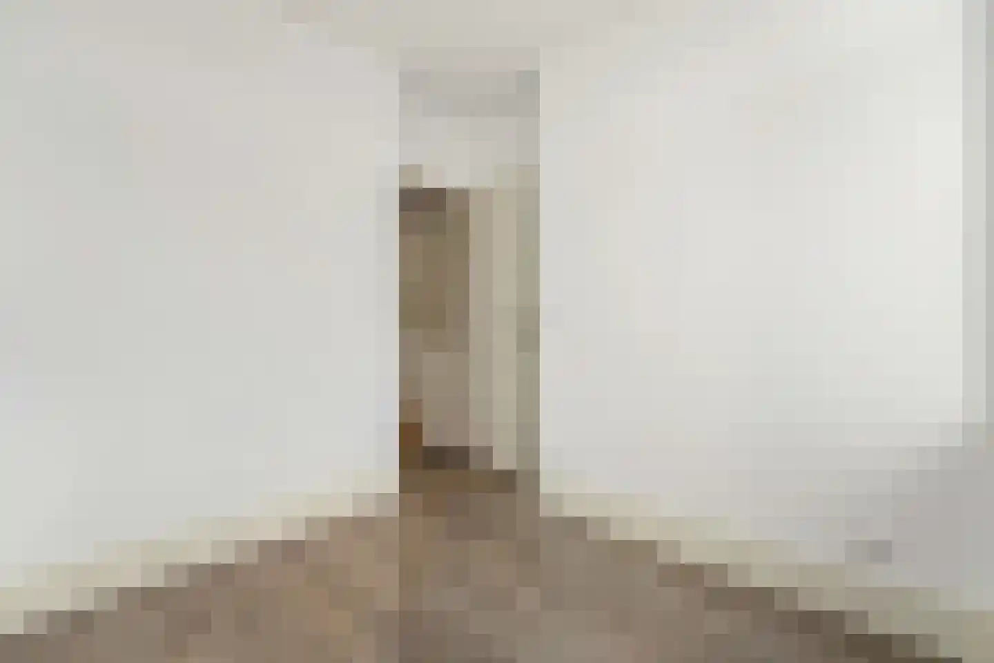 Soestdijksekade 13 Den Haag thumbnail 17