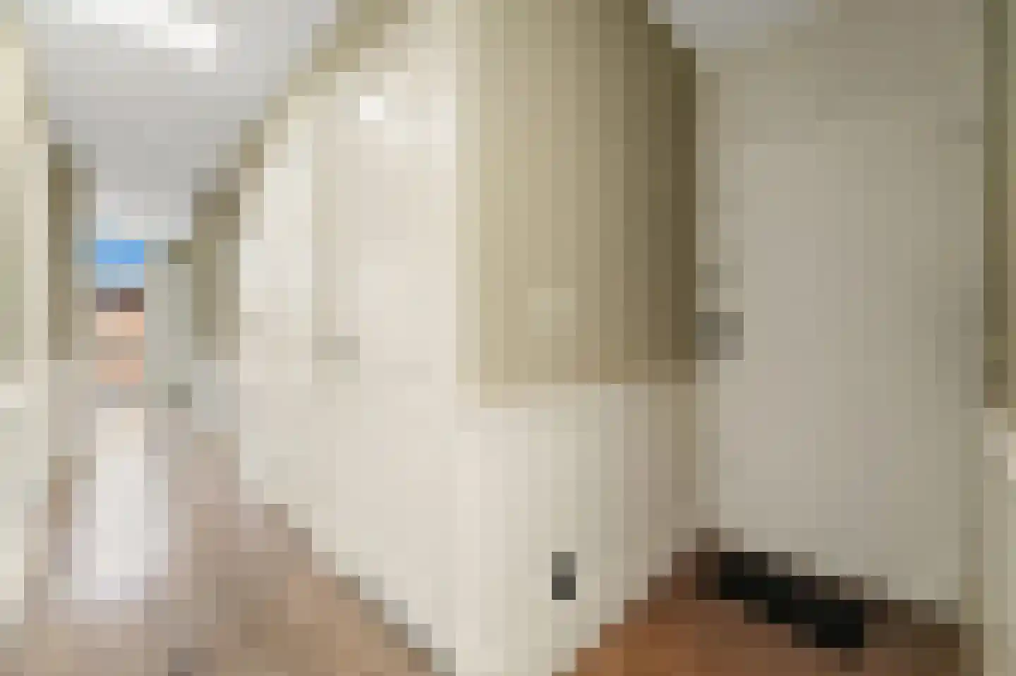 Soestdijksekade 13 Den Haag thumbnail 18