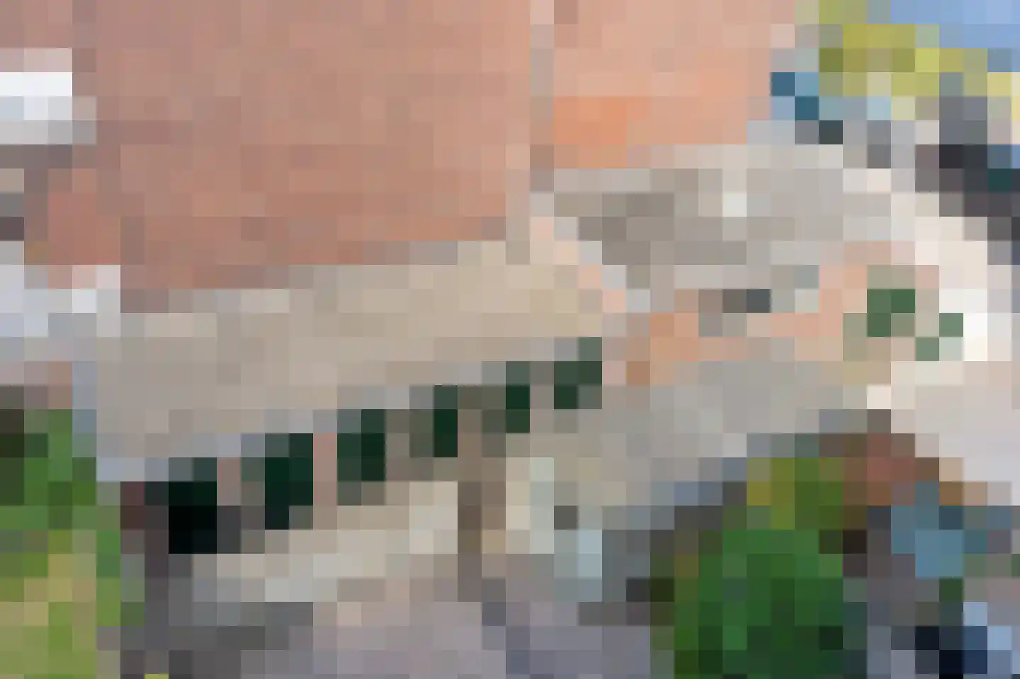 Soestdijksekade 13 Den Haag thumbnail 23