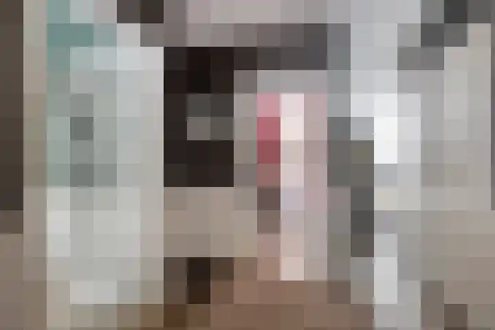 Soestdijksekade 14 Den Haag thumbnail 10