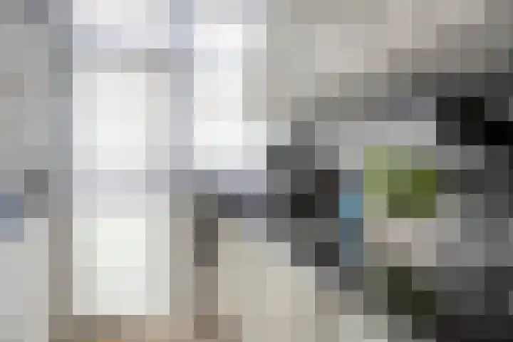 Soestdijksekade 14 Den Haag thumbnail 11