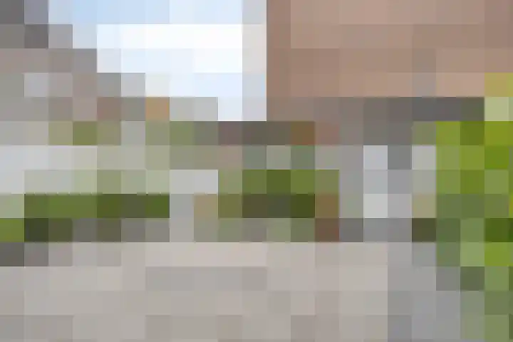 Soestdijksekade 14 Den Haag thumbnail 14