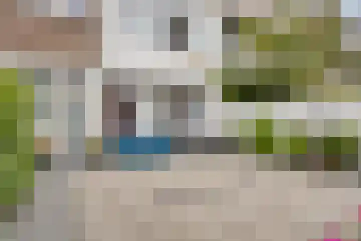 Soestdijksekade 14 Den Haag thumbnail 15