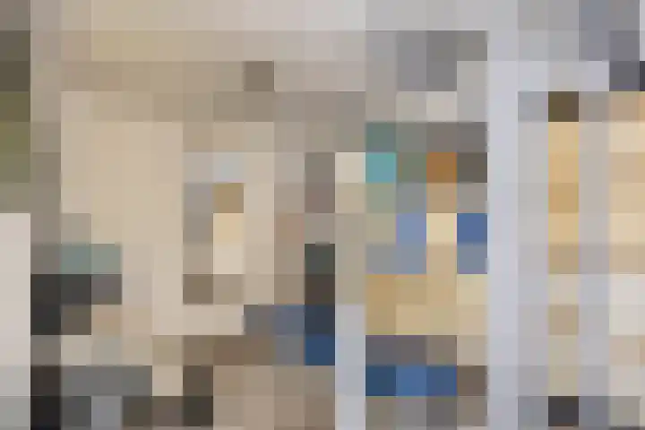 Soestdijksekade 14 Den Haag thumbnail 18