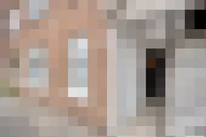 Soestdijksekade 14 Den Haag thumbnail 20