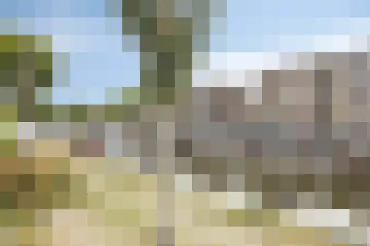 Soestdijksekade 14 Den Haag thumbnail 21