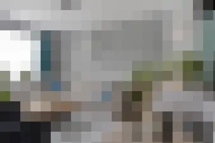 Soestdijksekade 14 Den Haag thumbnail 4