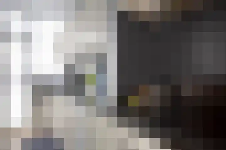 Soestdijksekade 14 Den Haag thumbnail 5