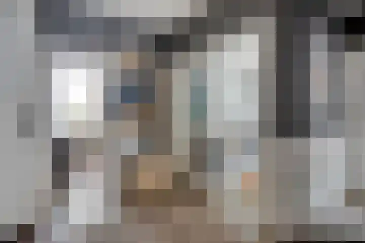 Soestdijksekade 14 Den Haag thumbnail 6