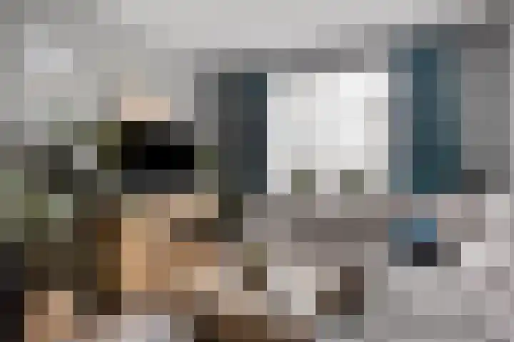 Soestdijksekade 14 Den Haag thumbnail 7