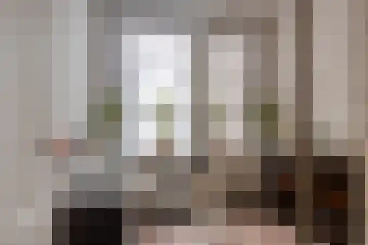 Soestdijksekade 14 Den Haag thumbnail 8