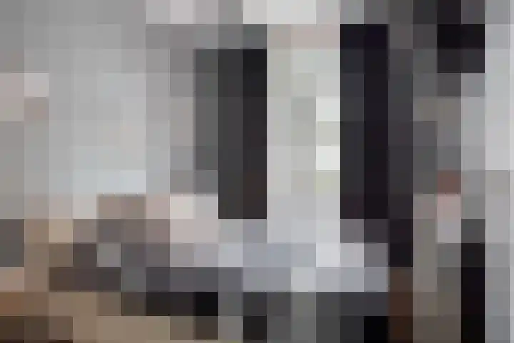 Soestdijksekade 14 Den Haag thumbnail 9