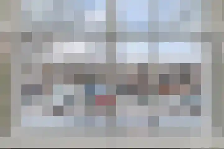 Soestdijksekade 166 Den Haag thumbnail 4