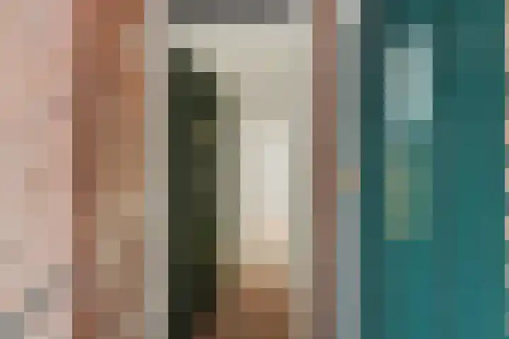 Soestdijksekade 166 Den Haag thumbnail 5