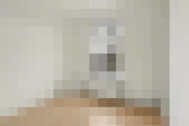 Soestdijksekade 166 Den Haag thumbnail 8