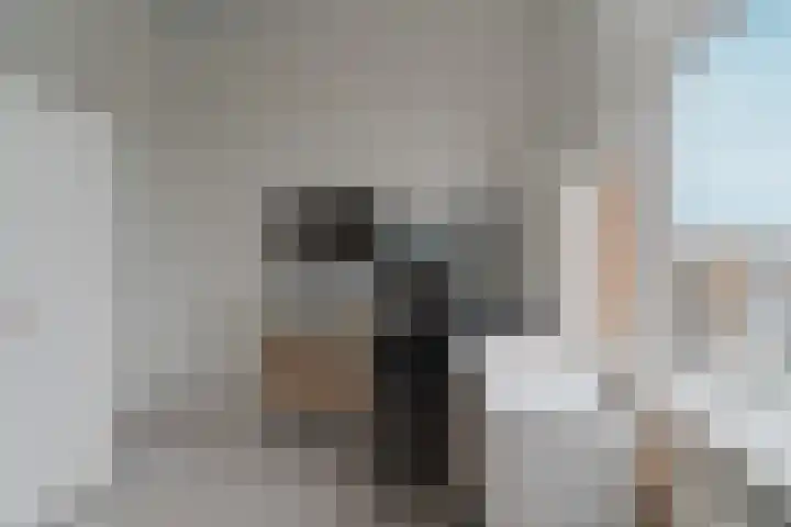 Soestdijksekade 170 Den Haag thumbnail 19
