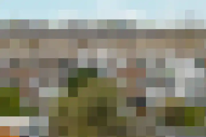 Soestdijksekade 170 Den Haag thumbnail 22