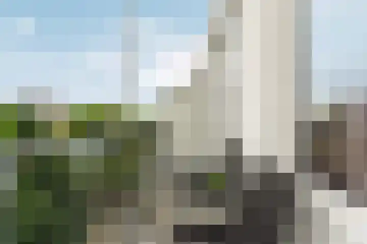 Soestdijksekade 170 Den Haag thumbnail 4