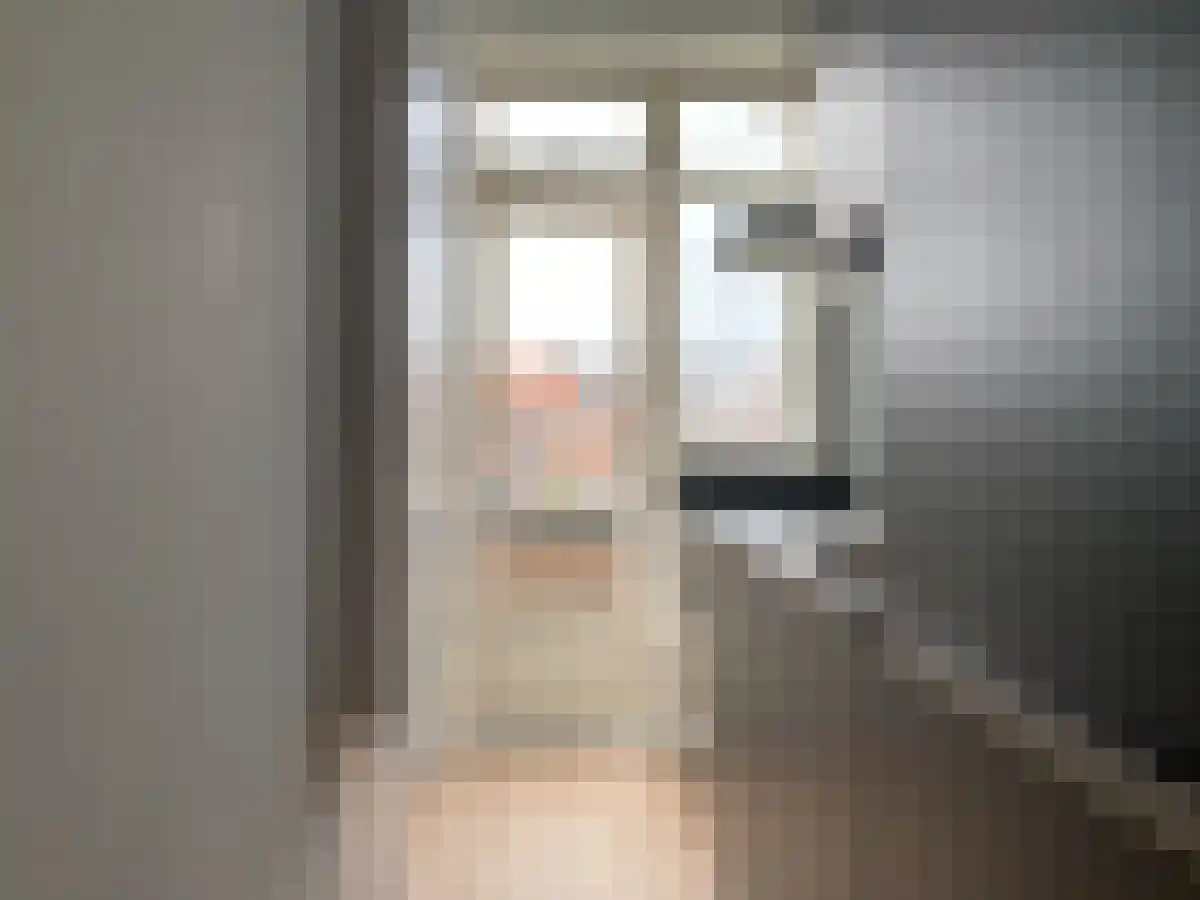 Soestdijksekade 171 Den Haag thumbnail 5