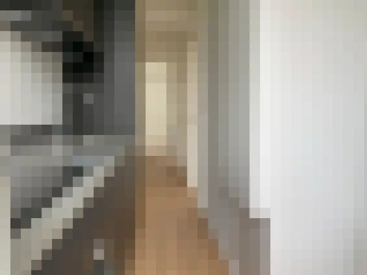 Soestdijksekade 171 Den Haag thumbnail 6