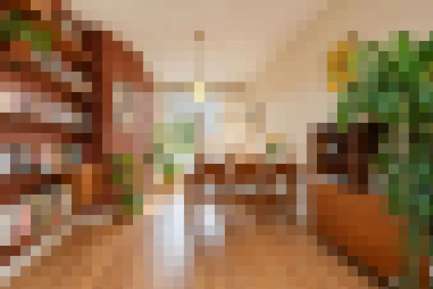 Soestdijksekade 177 Den Haag thumbnail 10