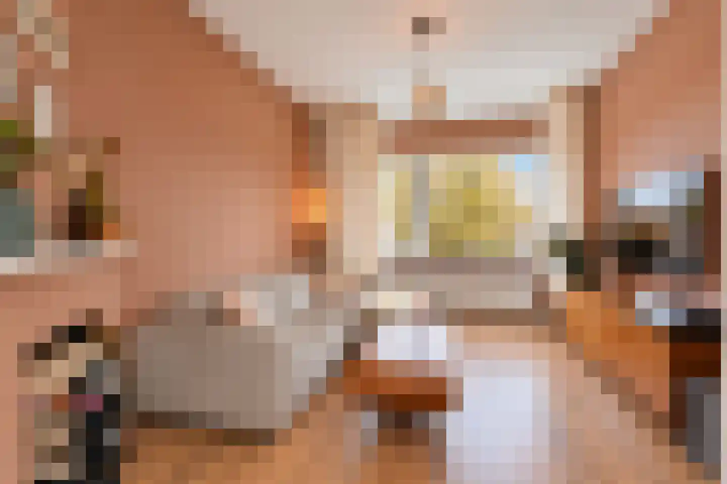 Soestdijksekade 177 Den Haag thumbnail 11