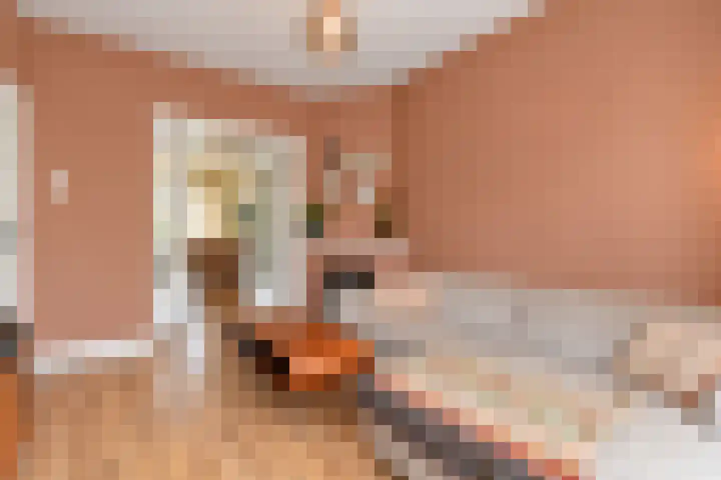 Soestdijksekade 177 Den Haag thumbnail 12