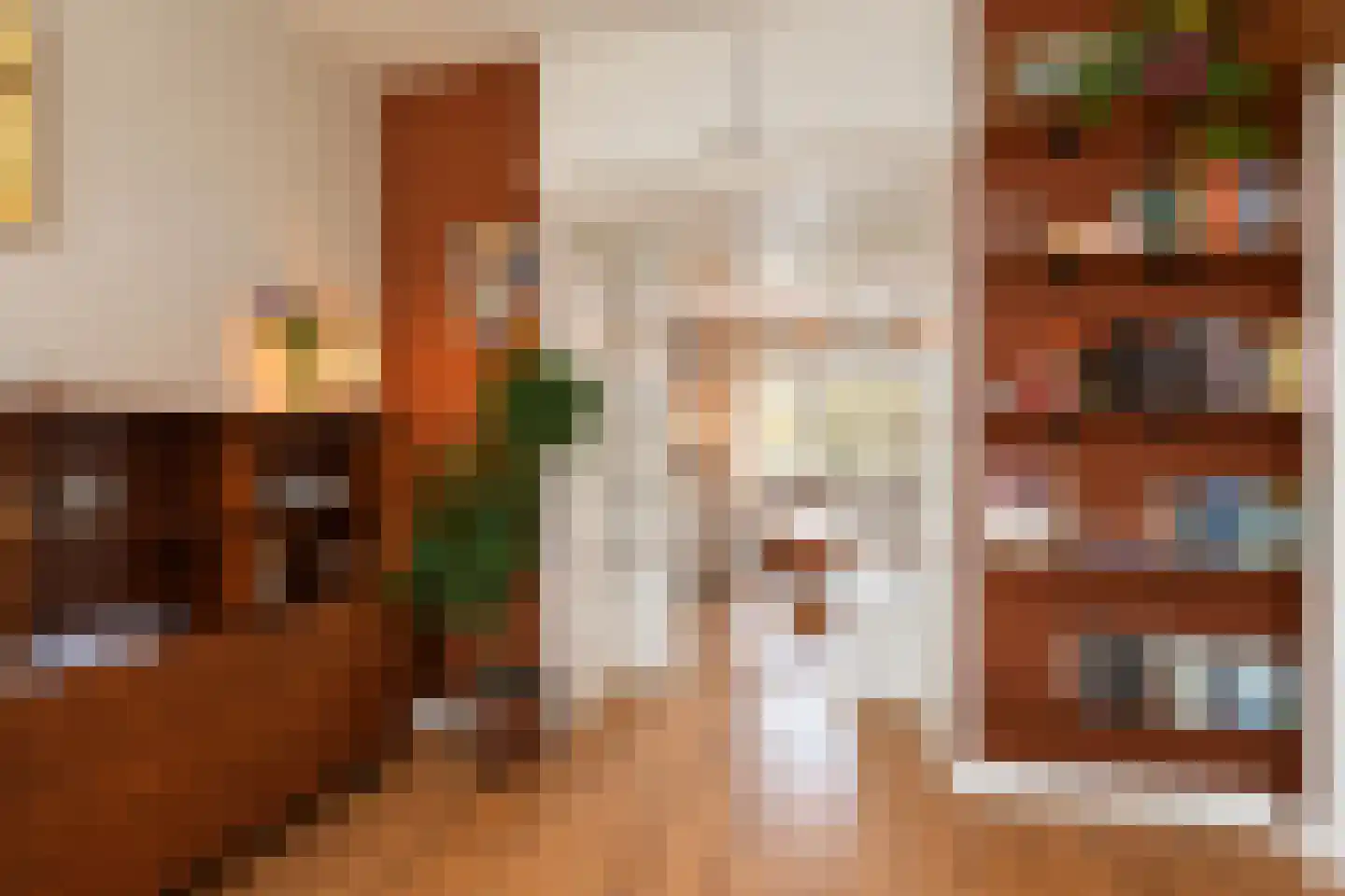 Soestdijksekade 177 Den Haag thumbnail 18