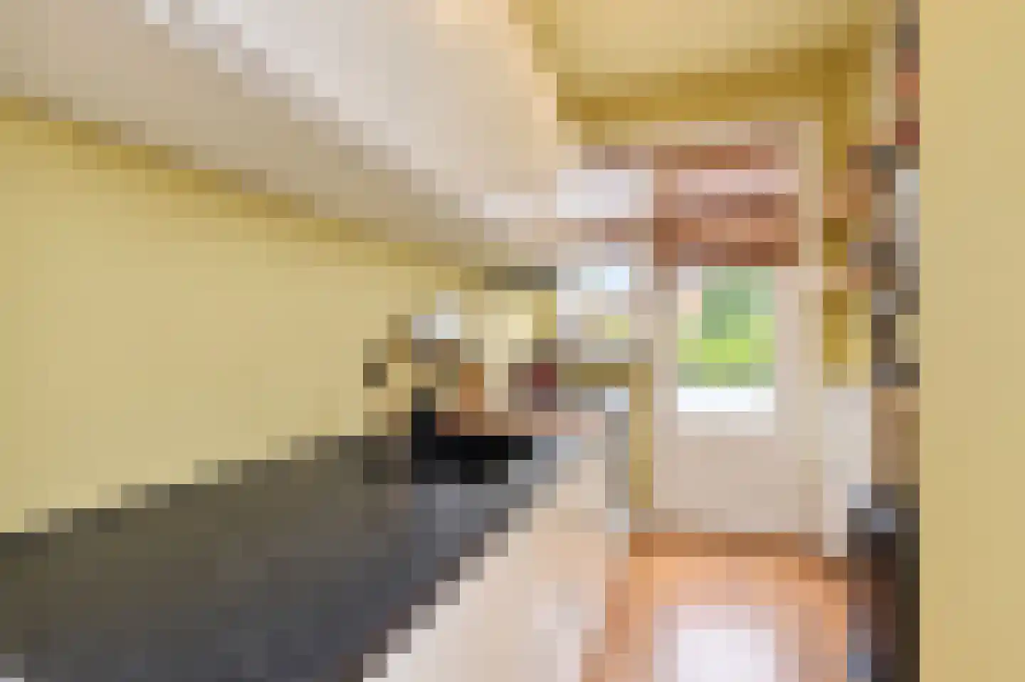 Soestdijksekade 177 Den Haag thumbnail 19