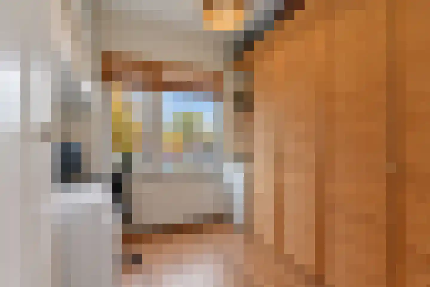 Soestdijksekade 177 Den Haag thumbnail 26
