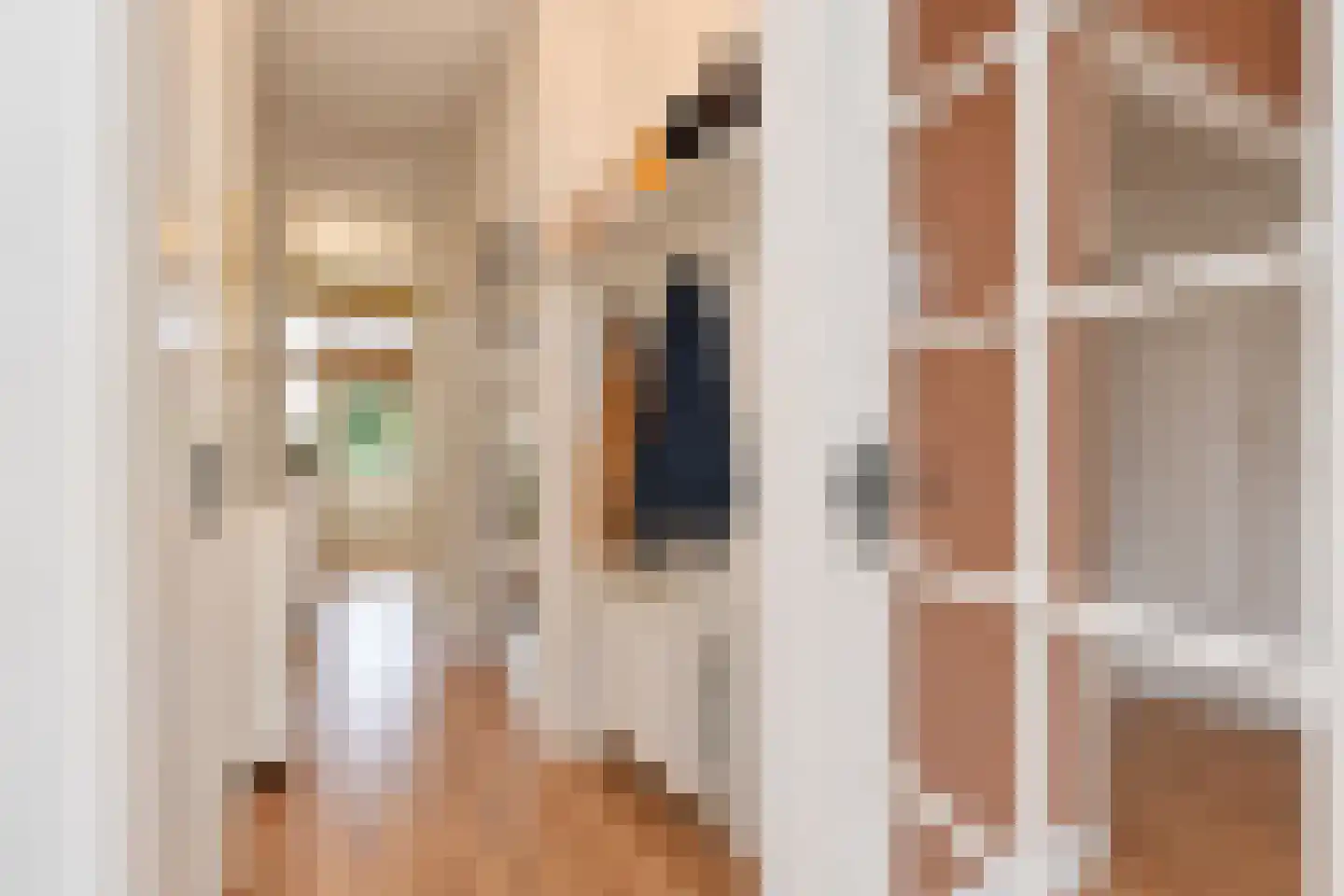 Soestdijksekade 177 Den Haag thumbnail 5
