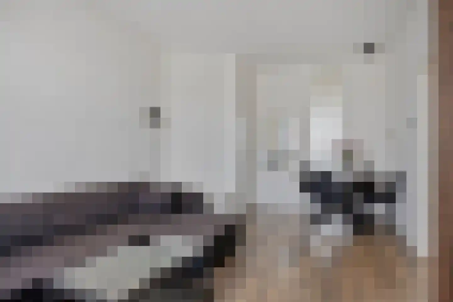 Soestdijksekade 180 Den Haag thumbnail 16