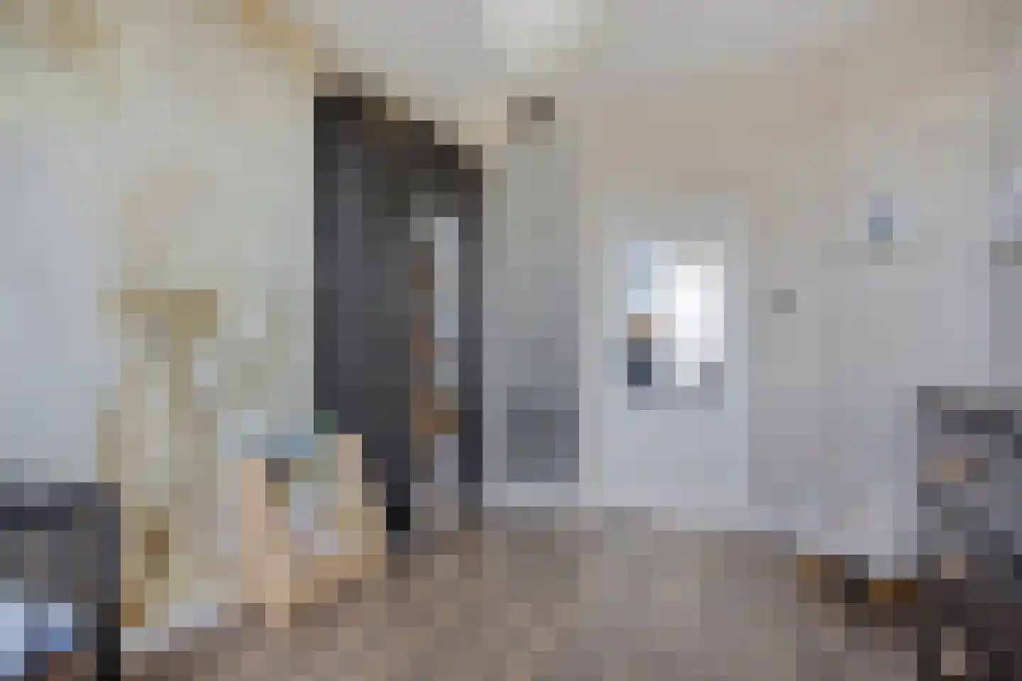 Soestdijksekade 180 Den Haag thumbnail 18
