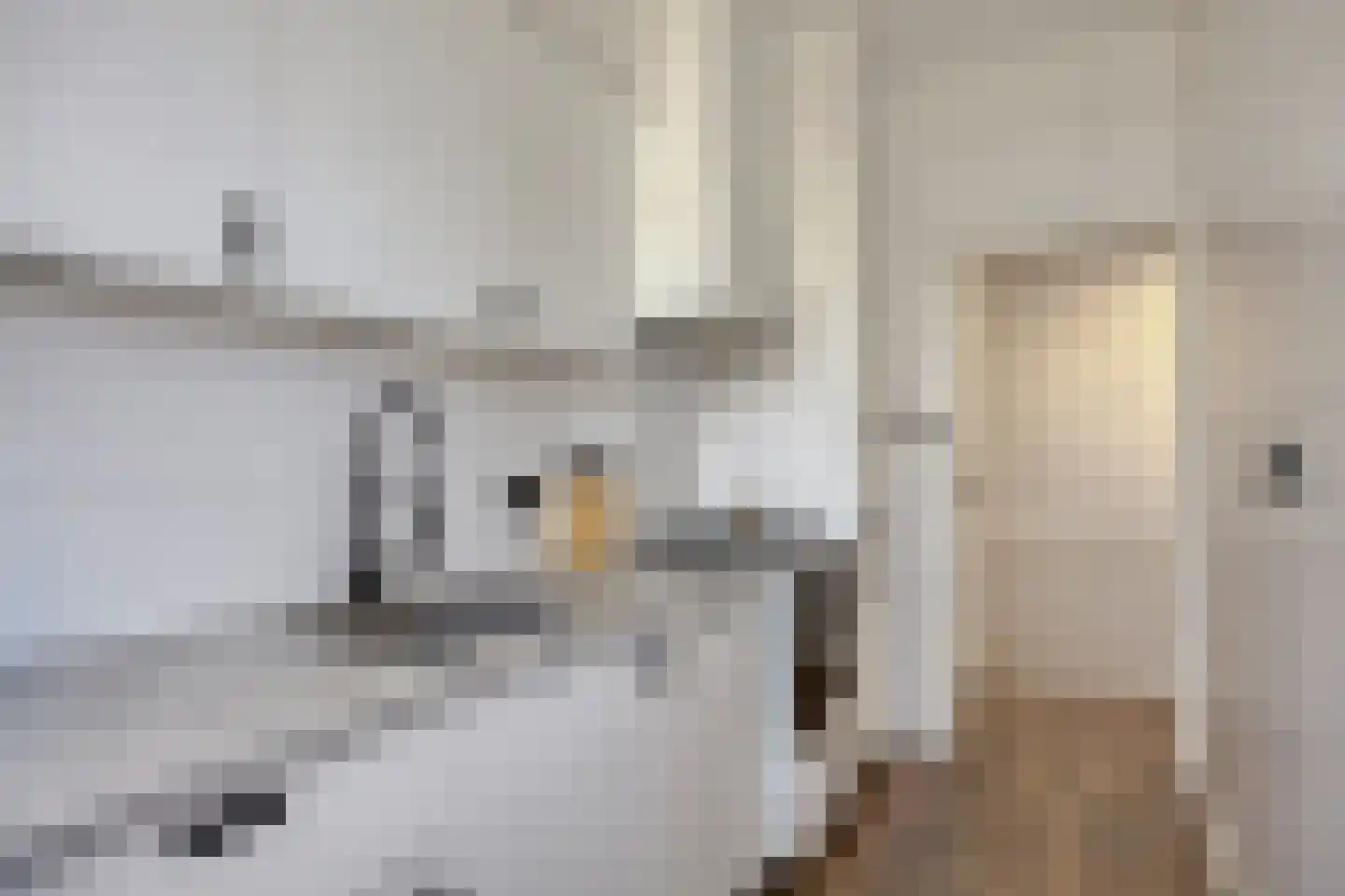 Soestdijksekade 180 Den Haag thumbnail 22