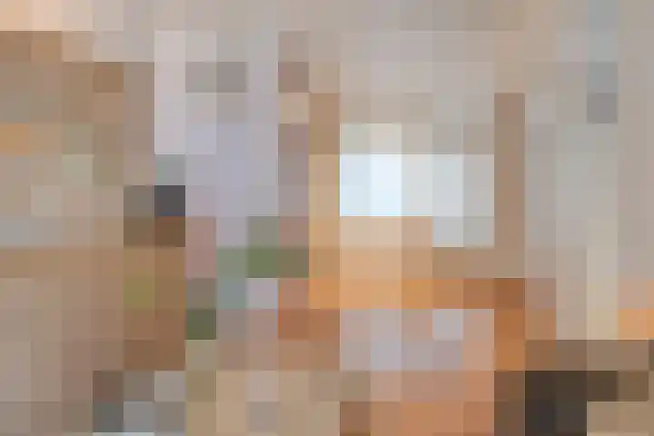 Soestdijksekade 200 Den Haag thumbnail 10