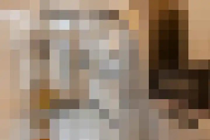 Soestdijksekade 200 Den Haag thumbnail 11