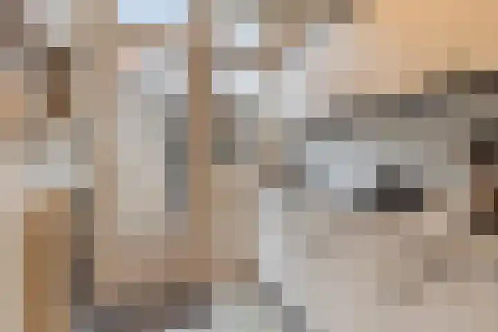 Soestdijksekade 200 Den Haag thumbnail 12