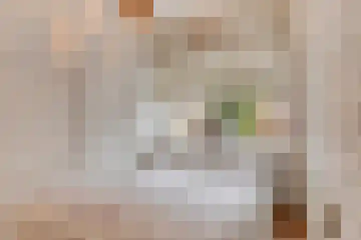 Soestdijksekade 200 Den Haag thumbnail 13